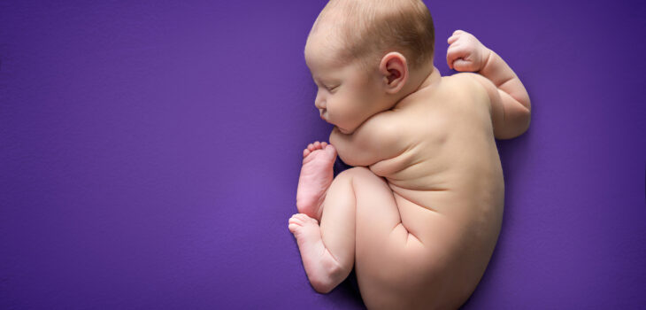 Profesjonalna sesja noworodkowa